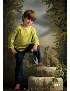 Stellen Steine ref. 837