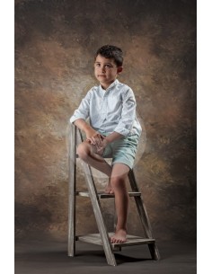 BROWN ÉCHELLE 1199 2