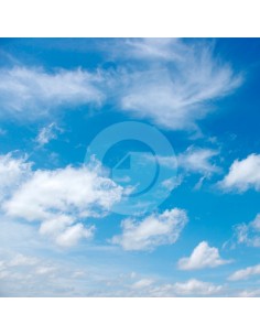 Fondo fotografico ref.7098 2