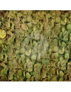 Fondo fotografico ref.7111