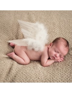 baby wings df090