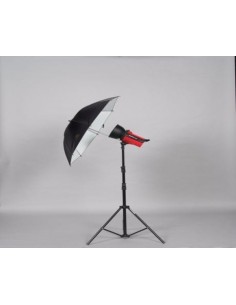 Reflector standard 2