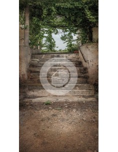 Fondo fotografico ref.7168 2