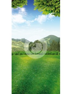 Fondo fotografico ref.7221 2