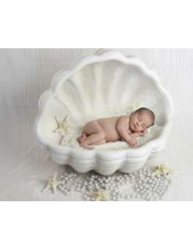 Banc ref. 1246 Banc ref. 1246