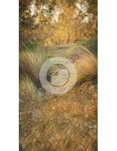 Ref. 7214ot 260x500 2