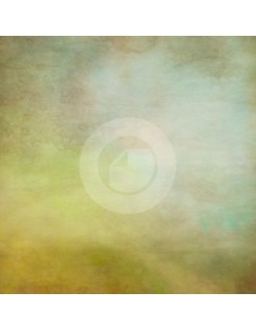 Canvas Hintergrund ref. 7099OT