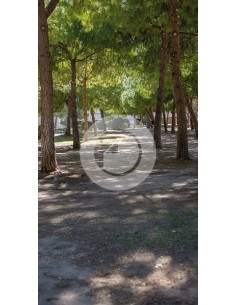 Canvas Hintergrund ref. 7099OT 2