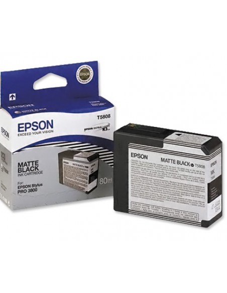 Cartridge Epson T580900 hellgrau