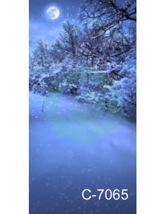 Fondo fotografico ref. C7065 2