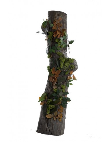 BABY POSES 1260 BABY POSES 1260