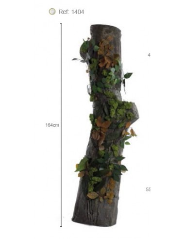 BABY POSES 1260 BABY POSES 1260