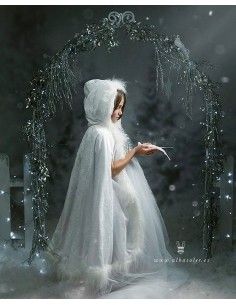 Fondo fotografico ref. C7046 2