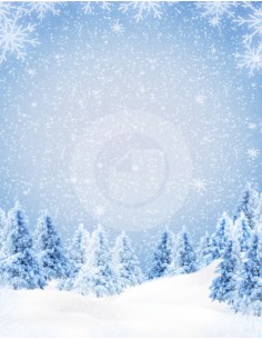 Canvas Hintergrund ref.7031ot 2