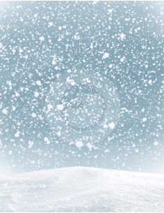 Fondo fotografico ref.7086 2