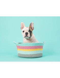 Paper Background ref.165 2