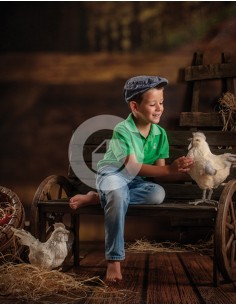 Fondo fotografico ref.7177