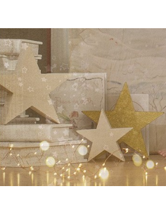 copy of Schlitten ref.1426 2