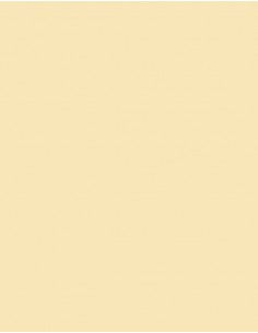 Fond peint a la main 1661