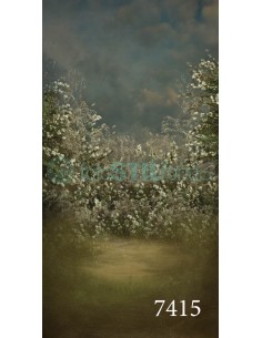 Fondo fotografico ref. 7415 2