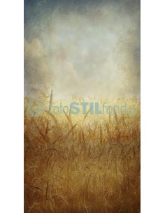 Hintergrund ref. 7506 2