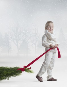 Fondo fotografico ref. 7532