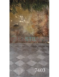 copy of Fond B7047OT 260X500