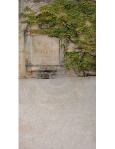 Fondo fotográfico... 2