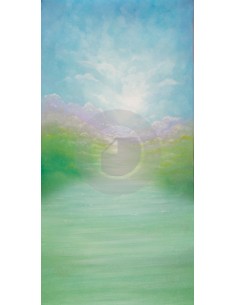 copy of Fond B7047OT 260X500 2