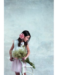 Fondo fotográfico...