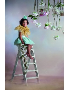 Fondo fotográfico... 2