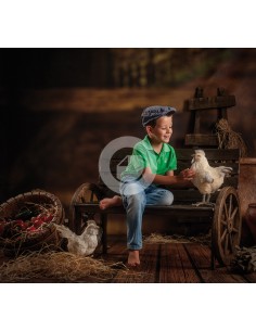 copy of Hintergrund B7047OT...