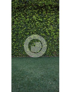 copy of Fond B7047OT 260X500 2