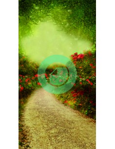 copy of Fond B7047OT 260X500