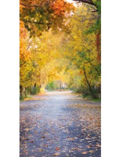 copy of Hintergrund B7047OT...