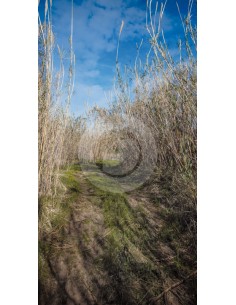 copy of Hintergrund B7047OT... 2